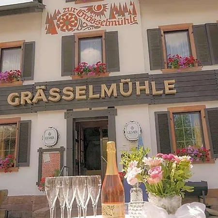 Wohlfuehlhotel Zur Graesselmuehle Мини-отель 3*