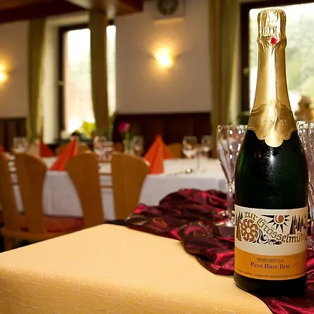 Wohlfuehlhotel Zur Graesselmuehle イン