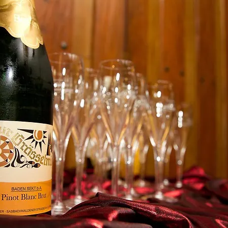 Mini-hôtel Wohlfuehlhotel Zur Graesselmuehle 3*